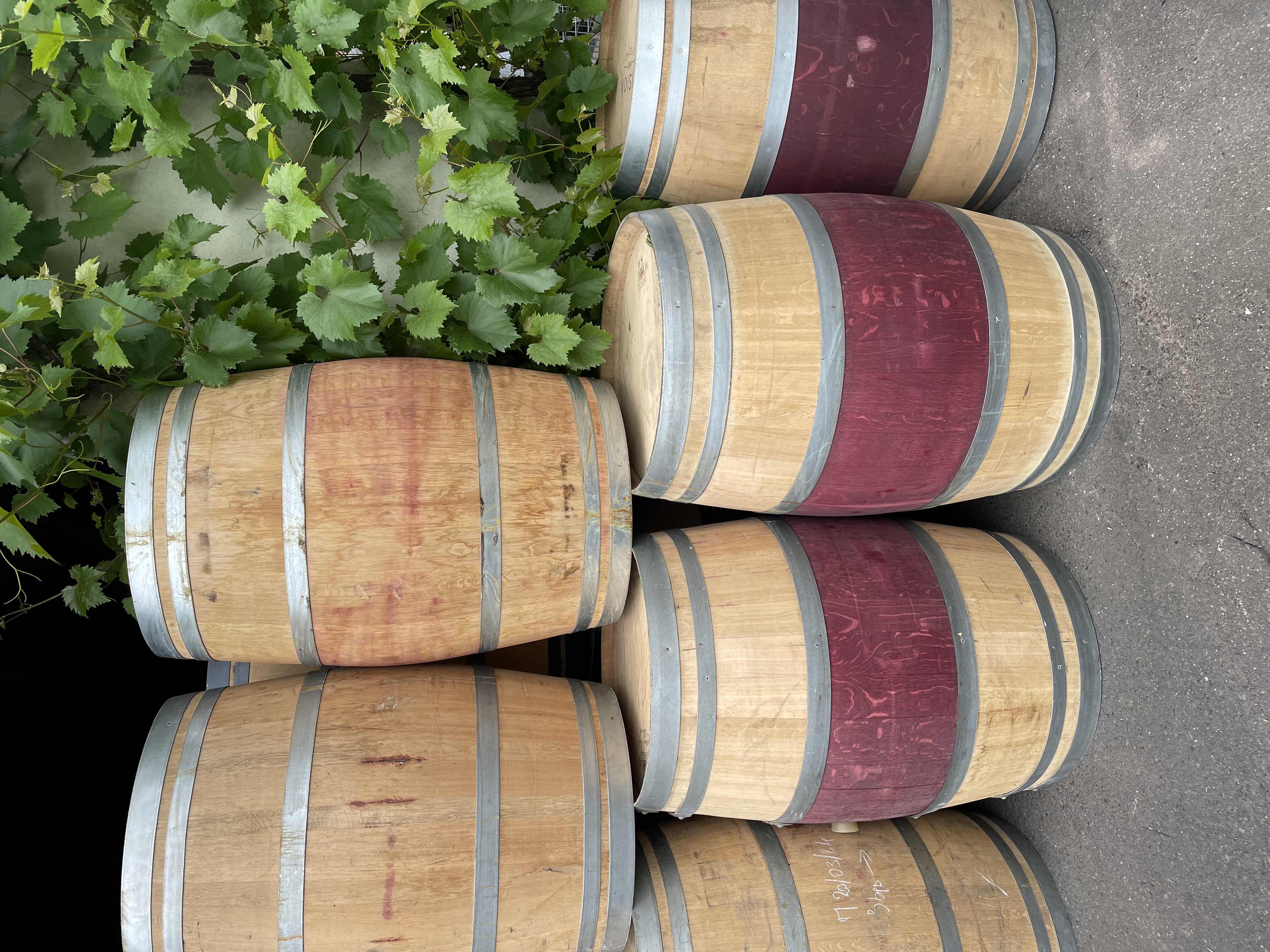 Barrique Weinfass Barriquefass Rotweinfass gebraucht Deko Weinhaus Beth Kröv Mosel