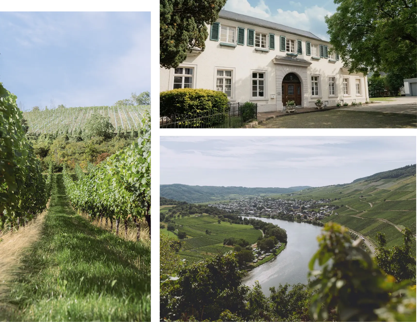 Apartment von Weinhaus Beth